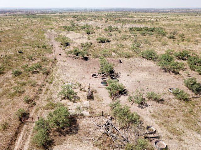 640 acre lease in W Texas with Mule Deer - Texas Section