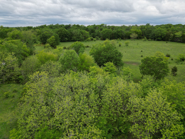 A Great 40 Acres hotspot for Whitetail and Waterfowl in Hughes County - Brinlee Place