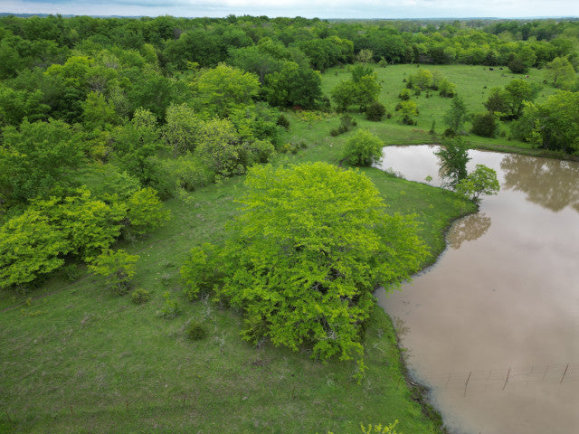 A Great 40 Acres hotspot for Whitetail and Waterfowl in Hughes County - Brinlee Place