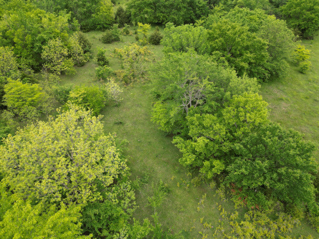 A Great 40 Acres hotspot for Whitetail and Waterfowl in Hughes County - Brinlee Place