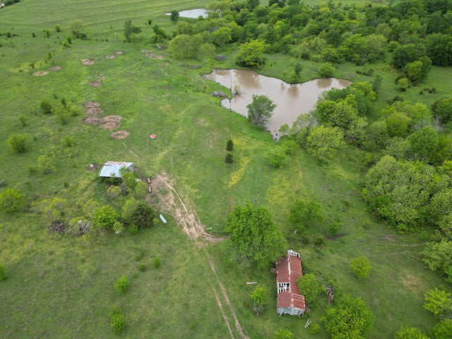 A Great 40 Acres hotspot for Whitetail and Waterfowl in Hughes County - Brinlee Place