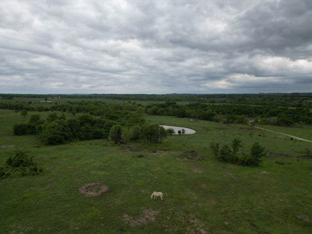 Hughes County Whitetail Hunting on this 335 acres Hunting Lease - Prison Place