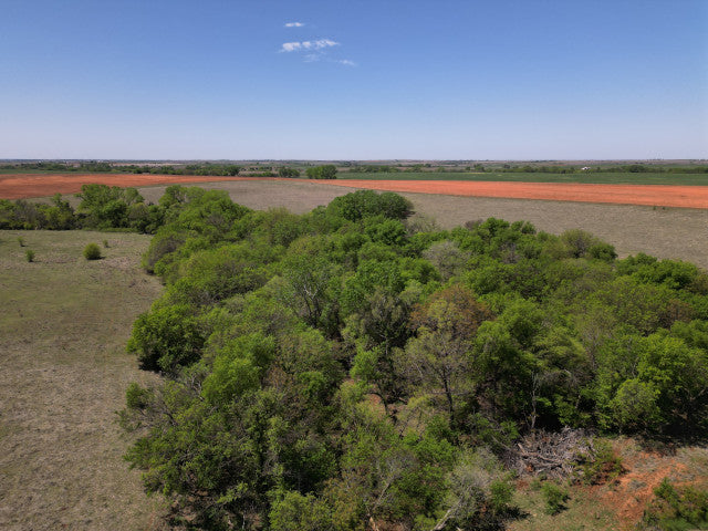 Great Hunting and good cover on 160 acres - 183