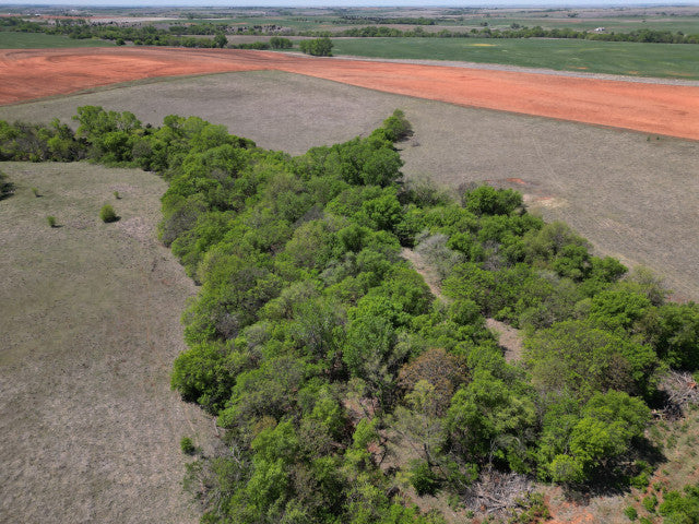 Great Hunting and good cover on 160 acres - 183