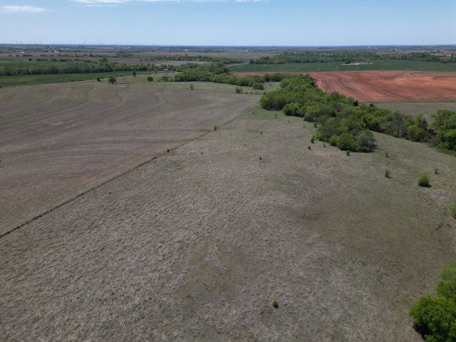 Great Hunting and good cover on 160 acres - 183