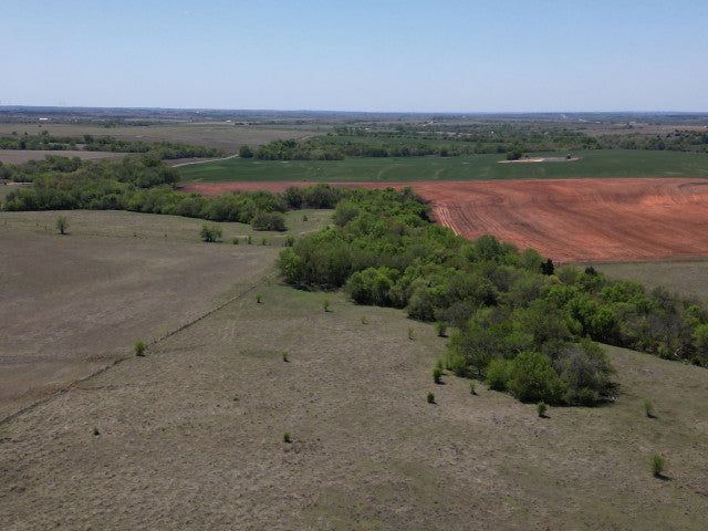 Great Hunting and good cover on 160 acres - 183