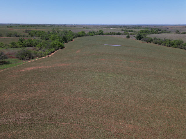 160 acres of Excellent Deer Population in Custer County - Graft