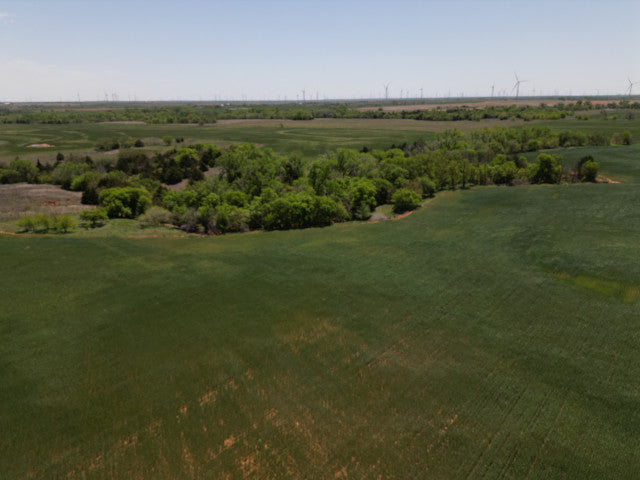 160 acre Whitetail lease - Russell
