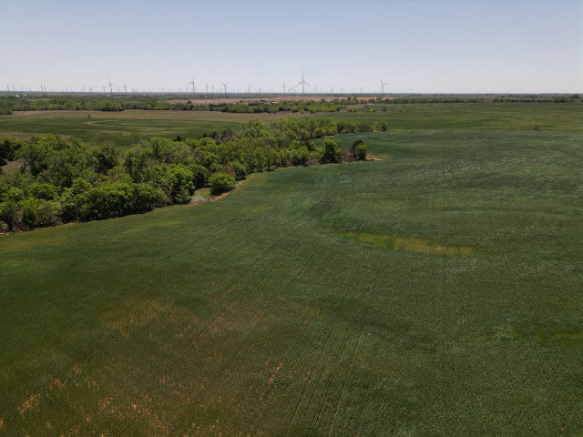 160 acre Whitetail lease - Russell