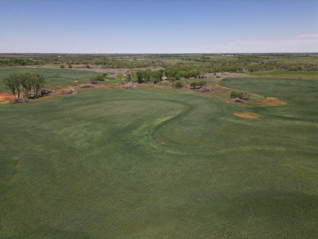 160 acre Whitetail lease - Russell