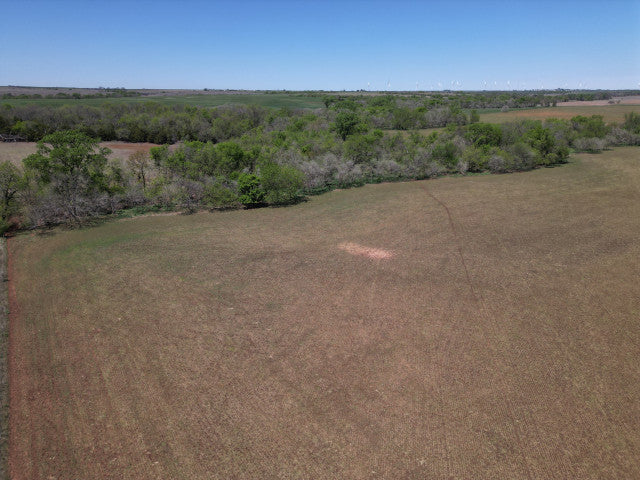 160 acre Oklahoma Whitetail lease with a great amount of wildlife - Veta