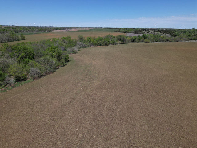160 acre Oklahoma Whitetail lease with a great amount of wildlife - Veta
