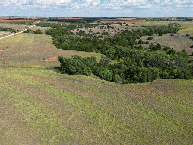 160 acre Lease With Great Cover Near Campsite- Homestead