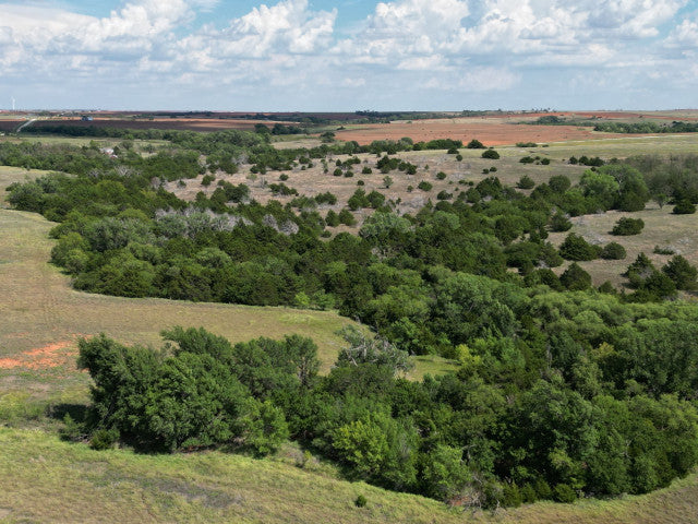 160 acre Lease With Great Cover Near Campsite- Homestead