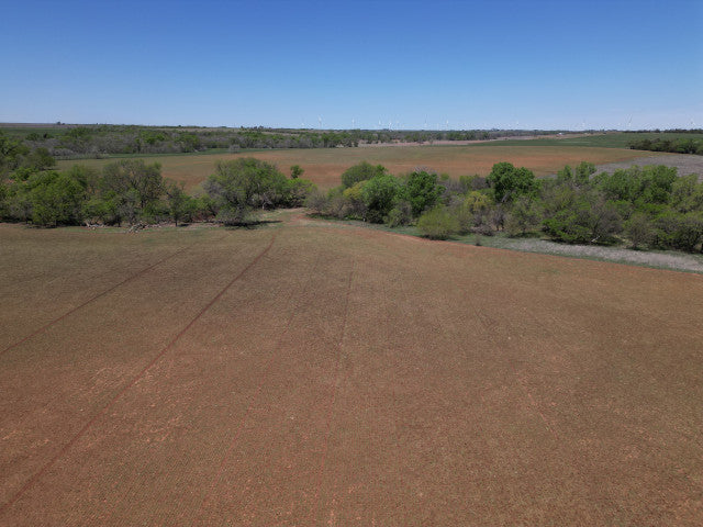 160 acre Oklahoma Whitetail lease with a great amount of wildlife - Veta
