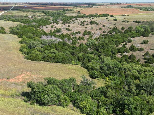 160 acre Lease With Great Cover Near Campsite- Homestead