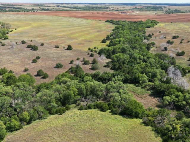 160 acre Lease With Great Cover Near Campsite- Homestead