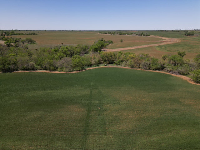Great treeline along creek with big timber 160 acre hunting lease - Section SE