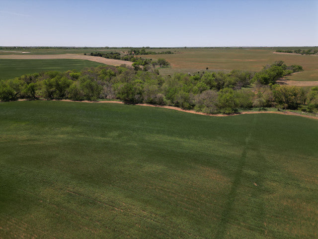 Great treeline along creek with big timber 160 acre hunting lease - Section SE