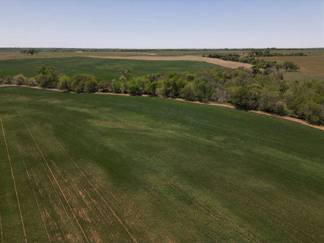 Great treeline along creek with big timber 160 acre hunting lease - Section SE
