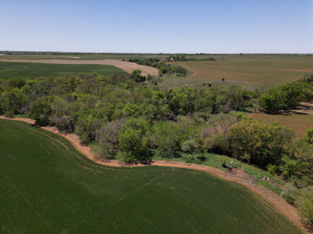 Great treeline along creek with big timber 160 acre hunting lease - Section SE