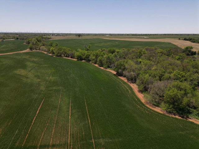 Great treeline along creek with big timber 160 acre hunting lease - Section SE