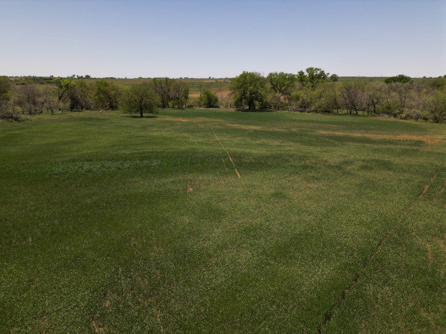 160 acre Hunting Lease, Big Timber along creek, Off the Beaten Path - Section NE