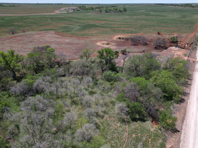 160 acre Hunting Lease, Big Timber along creek, Off the Beaten Path - Section NE
