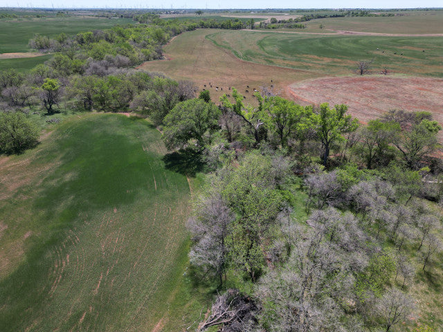 160 acre Hunting Lease, Big Timber along creek, Off the Beaten Path - Section NE