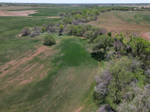 160 acre Hunting Lease, Big Timber along creek, Off the Beaten Path - Section NE