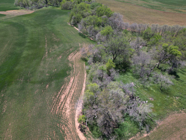 160 acre Hunting Lease, Big Timber along creek, Off the Beaten Path - Section NE