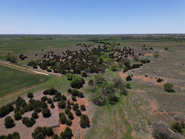 Prime 160 acre Hunting Lease in Dewey County - Owens
