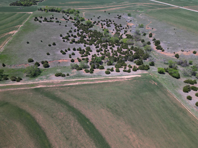 Prime 160 acre Hunting Lease in Dewey County - Owens