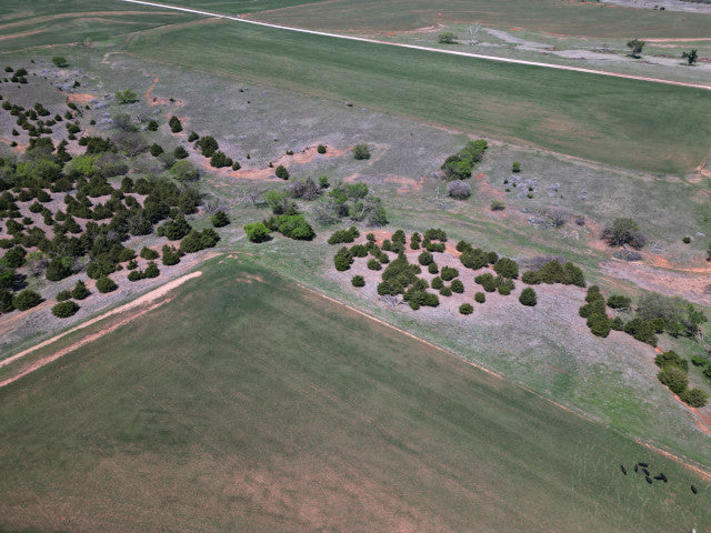 Prime 160 acre Hunting Lease in Dewey County - Owens