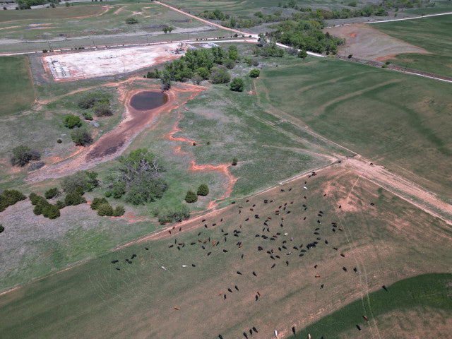 Prime 160 acre Hunting Lease in Dewey County - Owens