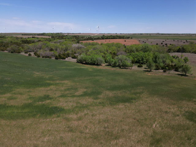A great harvest producing 160 acres Hunting Lease in Dewey County - Walker