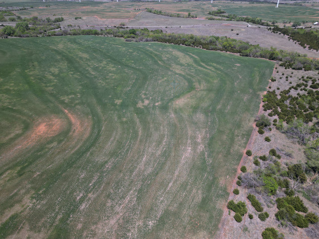 A great harvest producing 160 acres Hunting Lease in Dewey County - Walker
