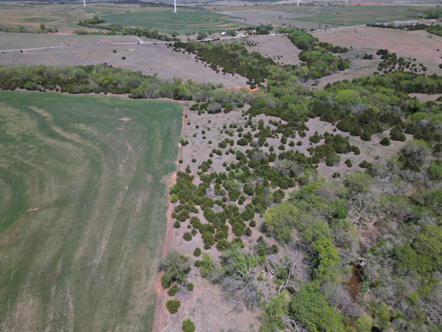 A great harvest producing 160 acres Hunting Lease in Dewey County - Walker