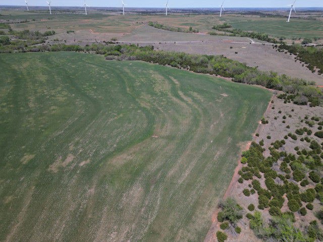 A great harvest producing 160 acres Hunting Lease in Dewey County - Walker