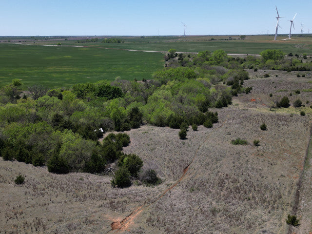 A great harvest producing 160 acres Hunting Lease in Dewey County - Walker