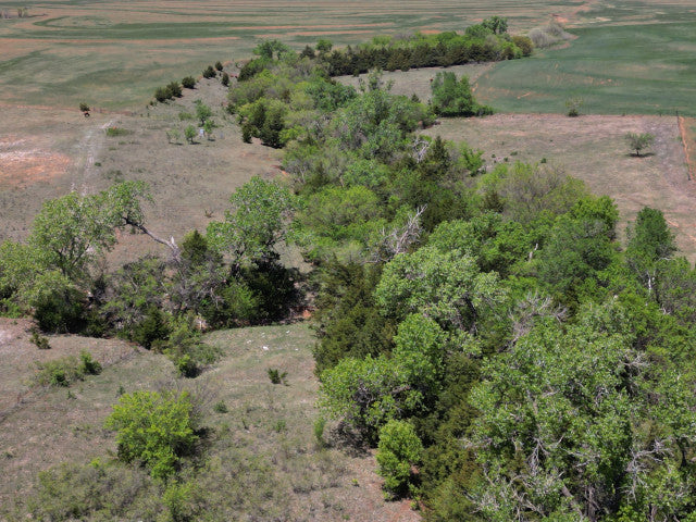 160 acre Lease With Nice Catfish Pond in Dewey County - S Alvis