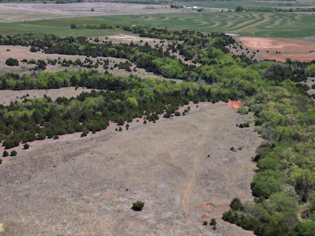 160 acres Full of Wildlife in Dewey County - Jasons