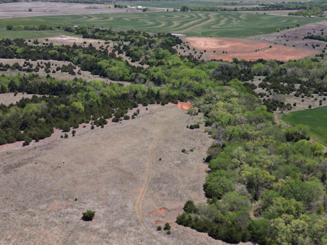 160 acres Full of Wildlife in Dewey County - Jasons