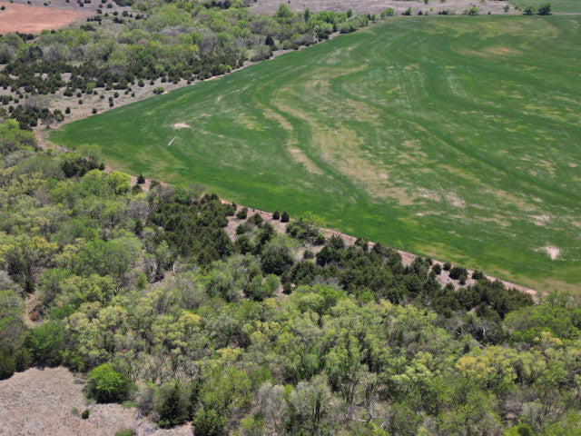 A great harvest producing 160 acres Hunting Lease in Dewey County - Walker