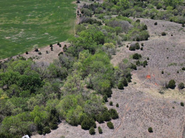 A great harvest producing 160 acres Hunting Lease in Dewey County - Walker