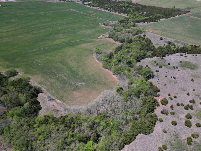 320 acre Hunting Lease Near Putnam - Laverta White