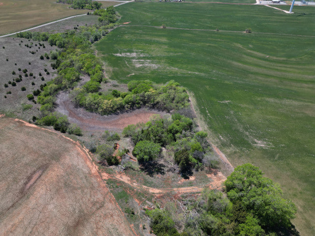 320 acre Hunting Lease Near Putnam - Laverta White