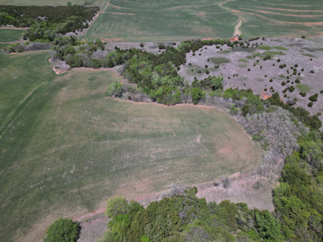 320 acre Hunting Lease Near Putnam - Laverta White