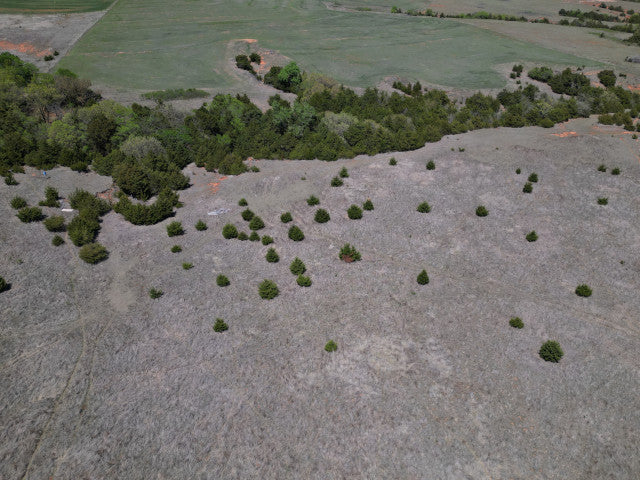 Deer, Hogs, Turkey and fishing on this 160 acre lease in Dewey County - Faust