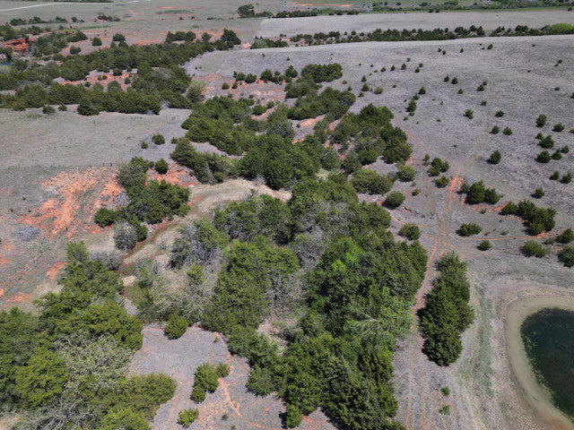 Deer, Hogs, Turkey and fishing on this 160 acre lease in Dewey County - Faust